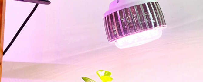 Lights for use in growing plants (2)